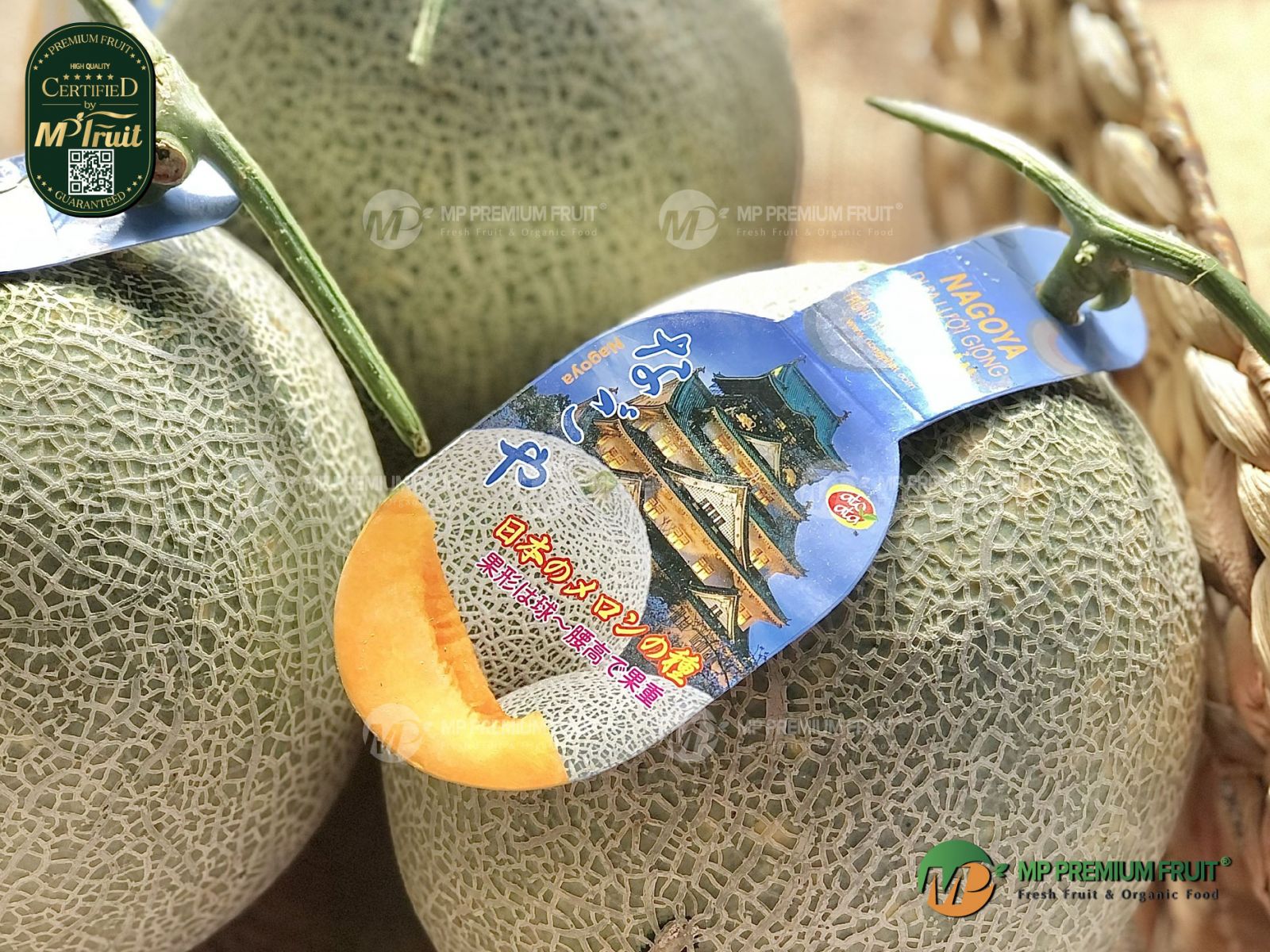 Dưa Lưới Giống Nhật Nagoya tại MP Fruit