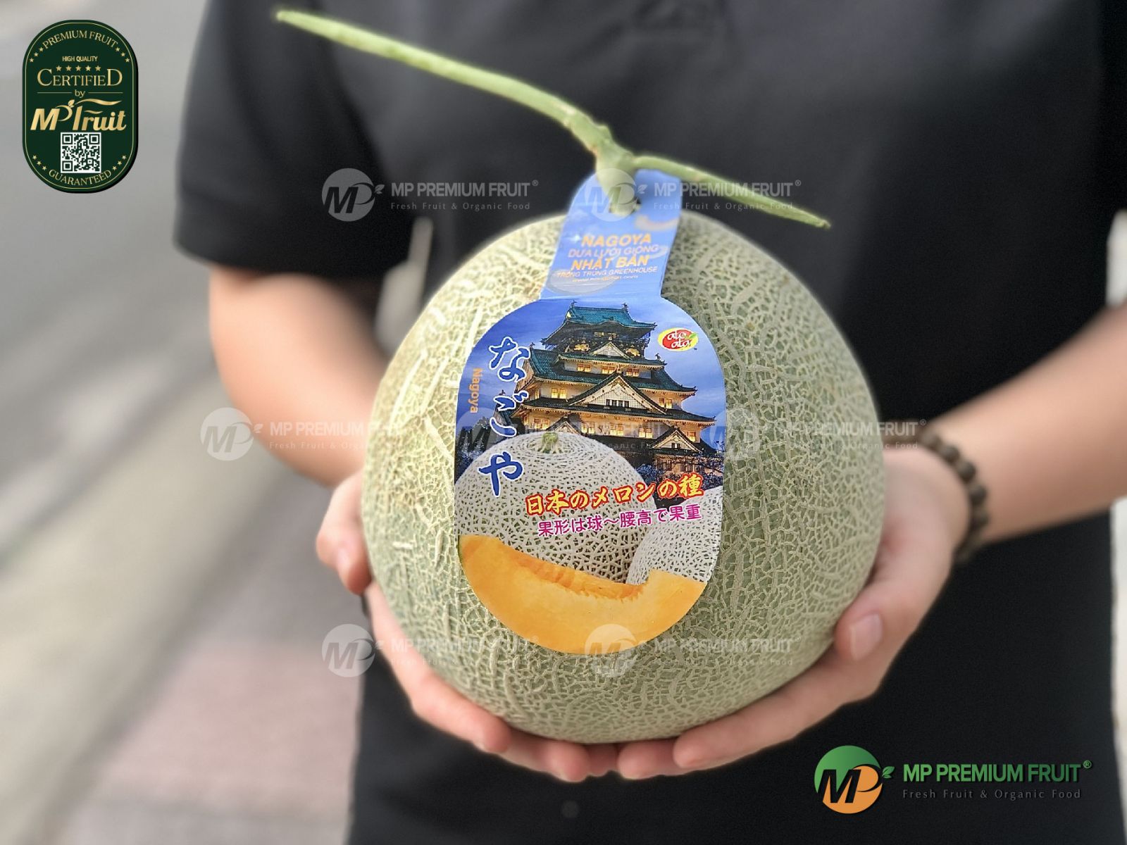 Dưa Lưới Giống Nhật Nagoya tại MP Fruit