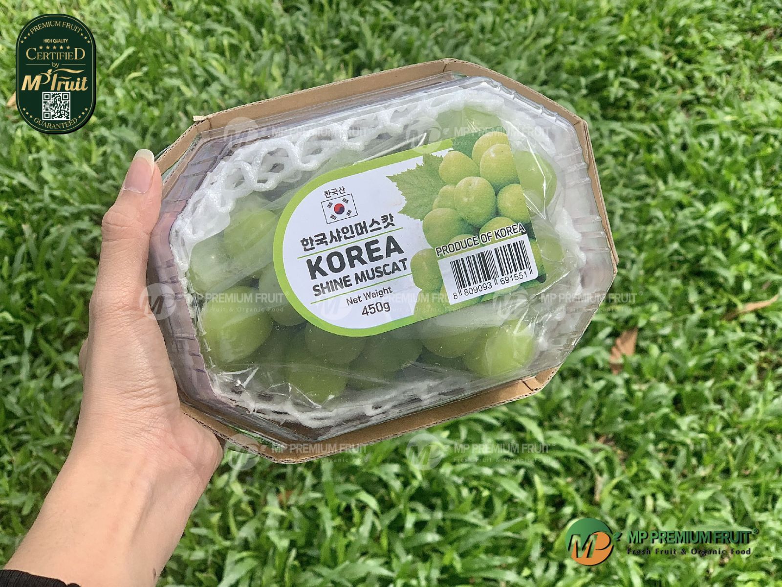 Nho Mẫu Đơn Shine Muscat Hàn Quốc - Hộp 450g tại MP Fruit