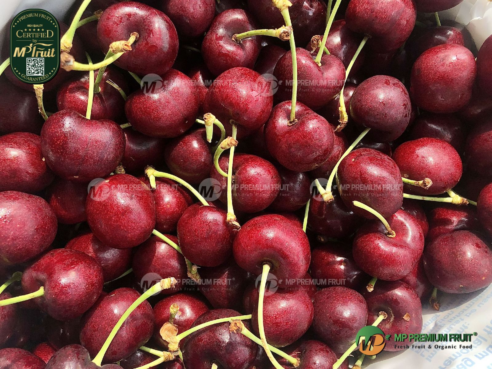 Cherry Đỏ Mỹ Size 8.5 tại MP Fruits