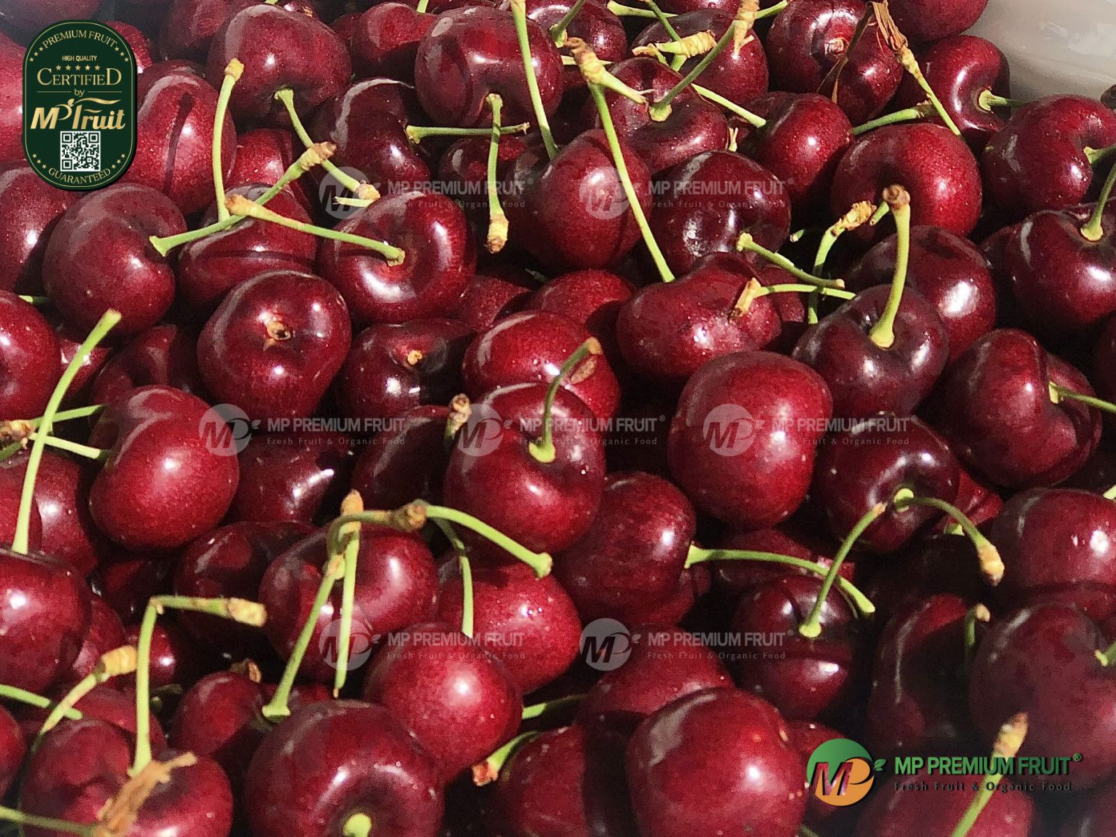 Cherry Đỏ Mỹ Size 8 | Skeena tại MP Fruit