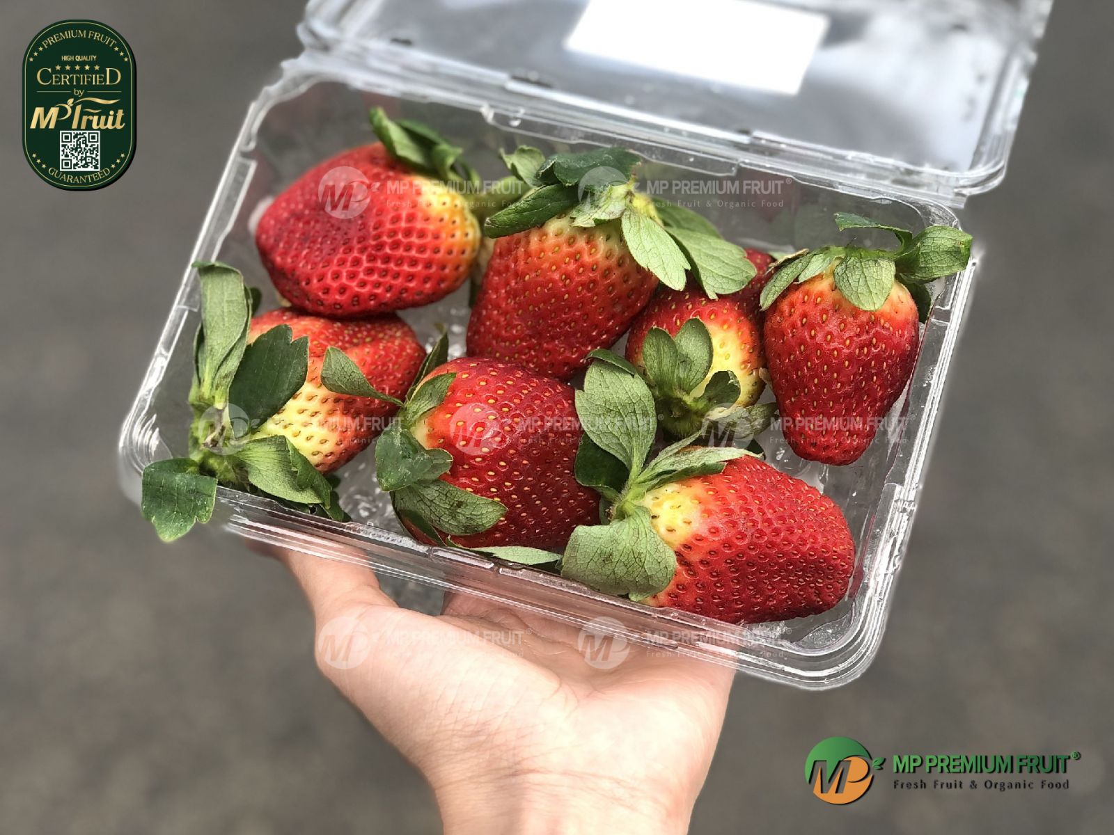 Dâu Tây Úc | N&J Strawberries Hộp 250g tại MP Fruit