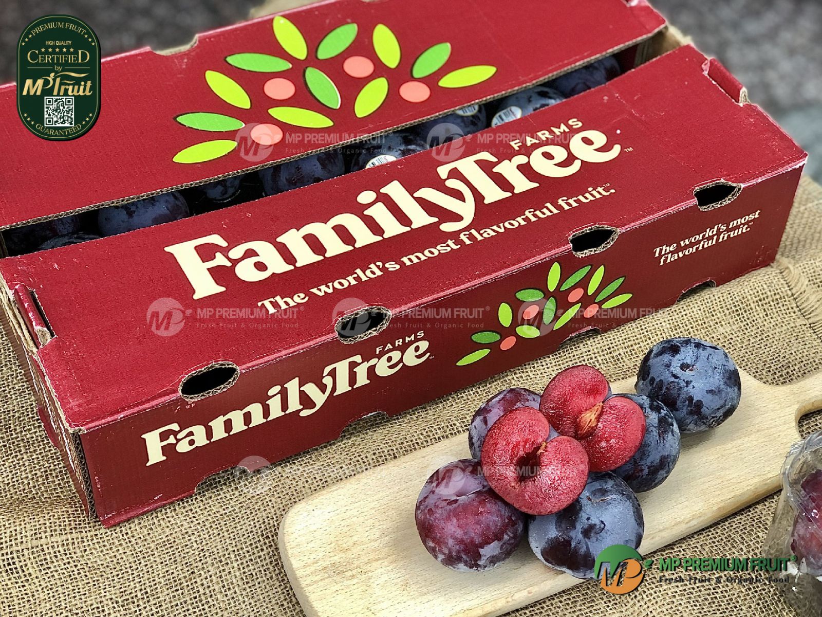 Mận Đỏ Family Tree Farms Mỹ tại MP Fruits