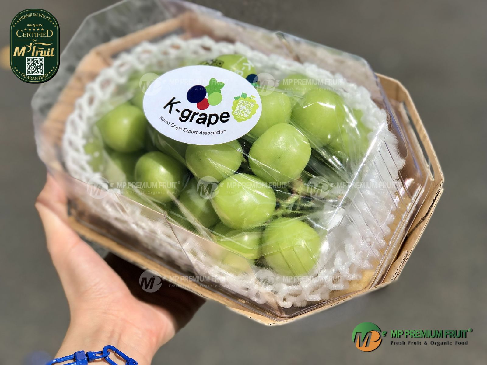 Nho Mẫu Đơn Kết Hợp Nhân Sâm Hàn Quốc | Ginseng Shine Muscat - Hộp 800g tại MP Fruit