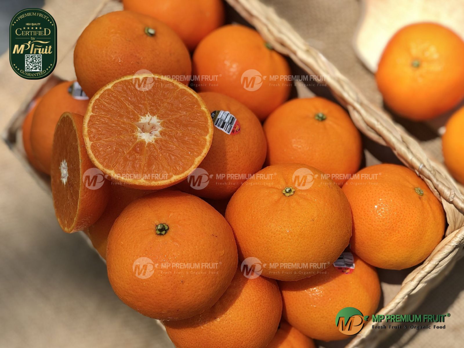 Quýt 888 Citrus Úc tại MP Fruit