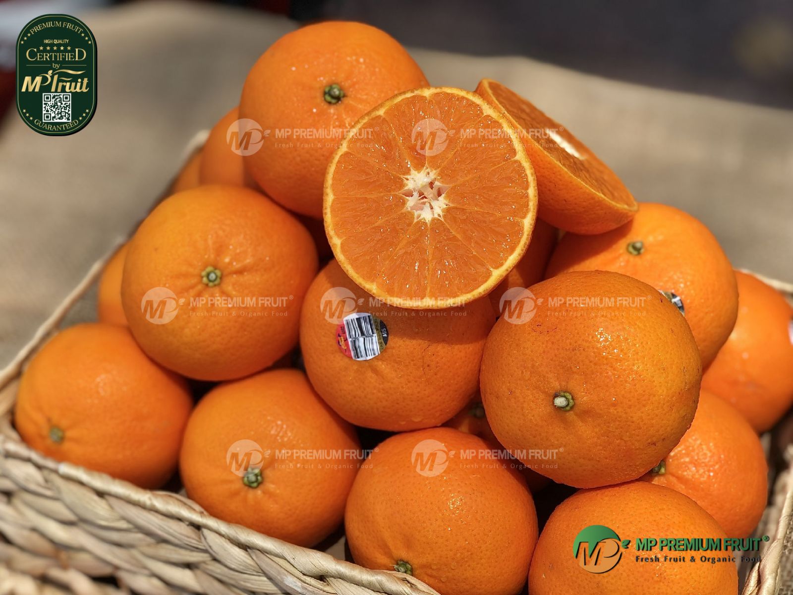 Quýt 888 Citrus Úc tại MP Fruit