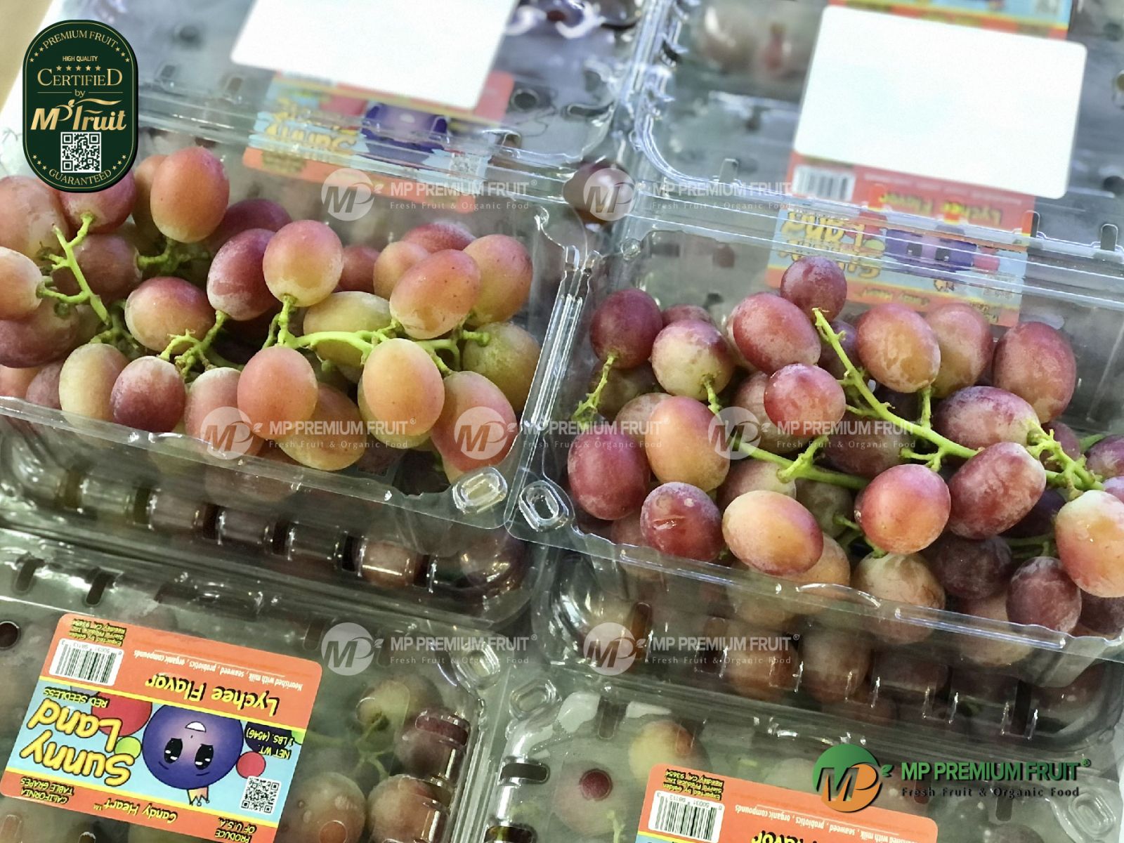 Nho Đỏ Kẹo Vị Vải Thiều Lychee Flavor Sunny Land Mỹ Hộp 454g tại MP Fruit