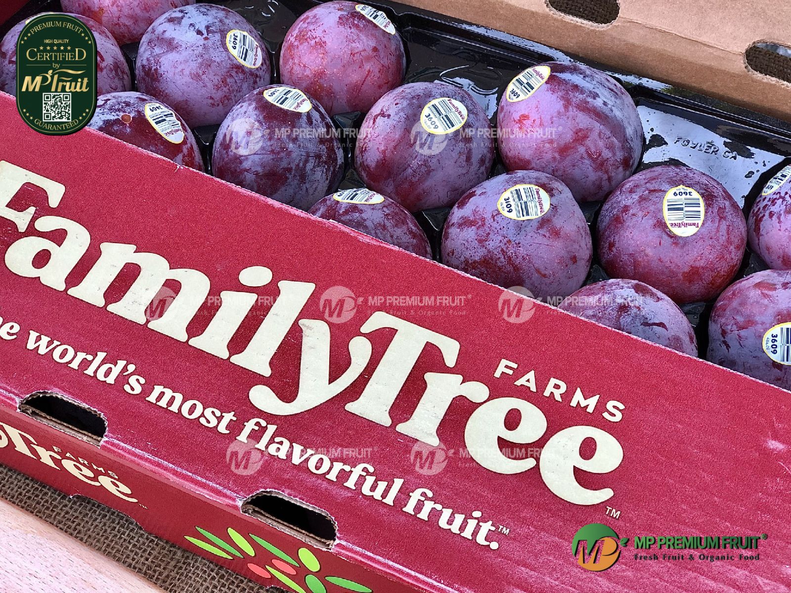 Mận Đỏ Ruột Vàng Family Tree Farms Mỹ tại MP Fruit