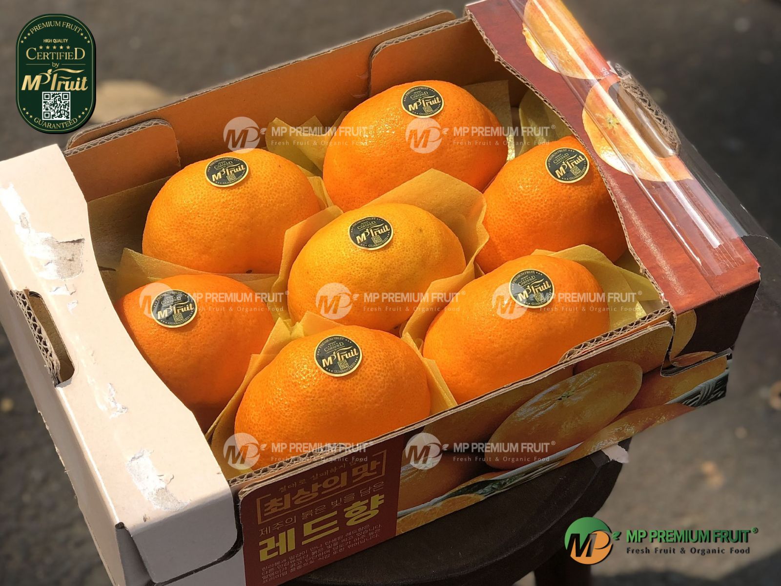 Quýt Jeju Red Hyang Premium Hàn Quốc - Thùng 1,5kg tại MP Fruit