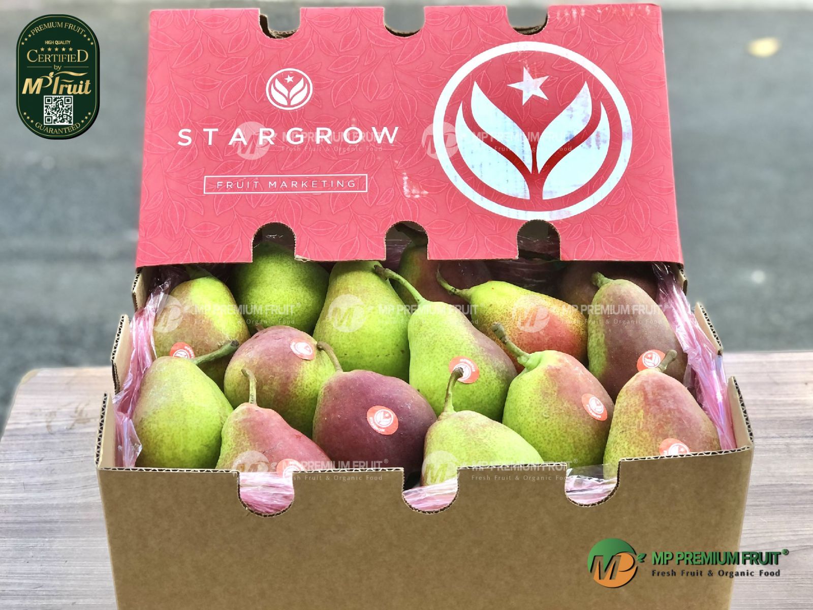 Lê Nam Phi | StarGrow tại MP Fruit
