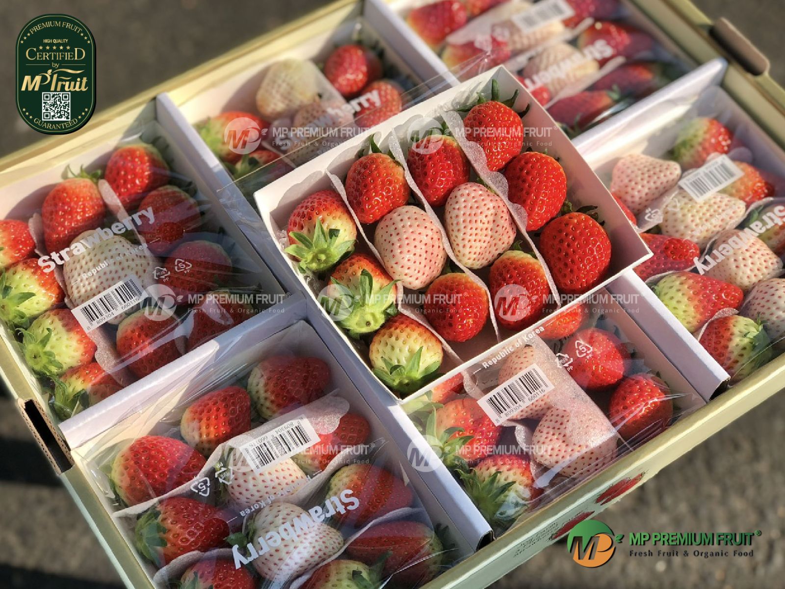 Dâu Tây Đỏ Kuemsil Mix Dâu Bạch Tuyết Premium Hàn Quốc | Joy Farm - Khay 250g tại MP Fruit