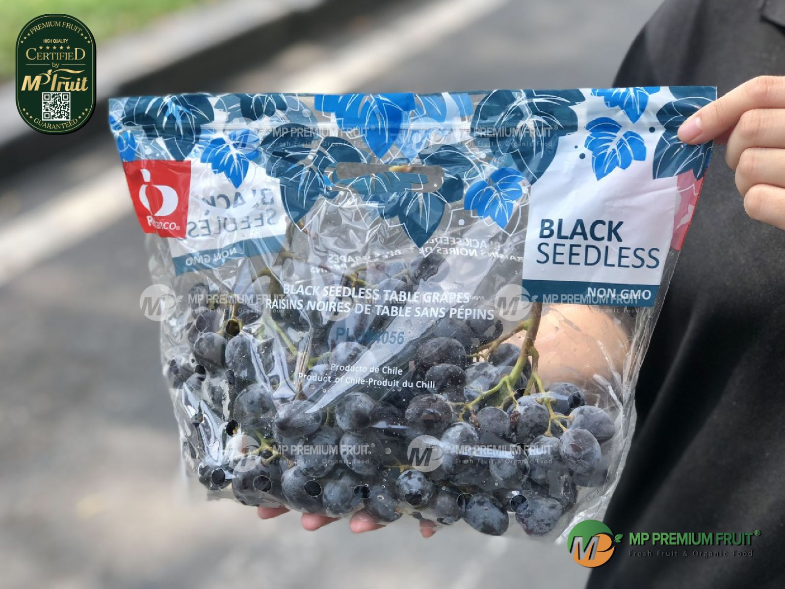 Nho Đen Không Hạt Chile | RIOblanco tại MP Fruit
